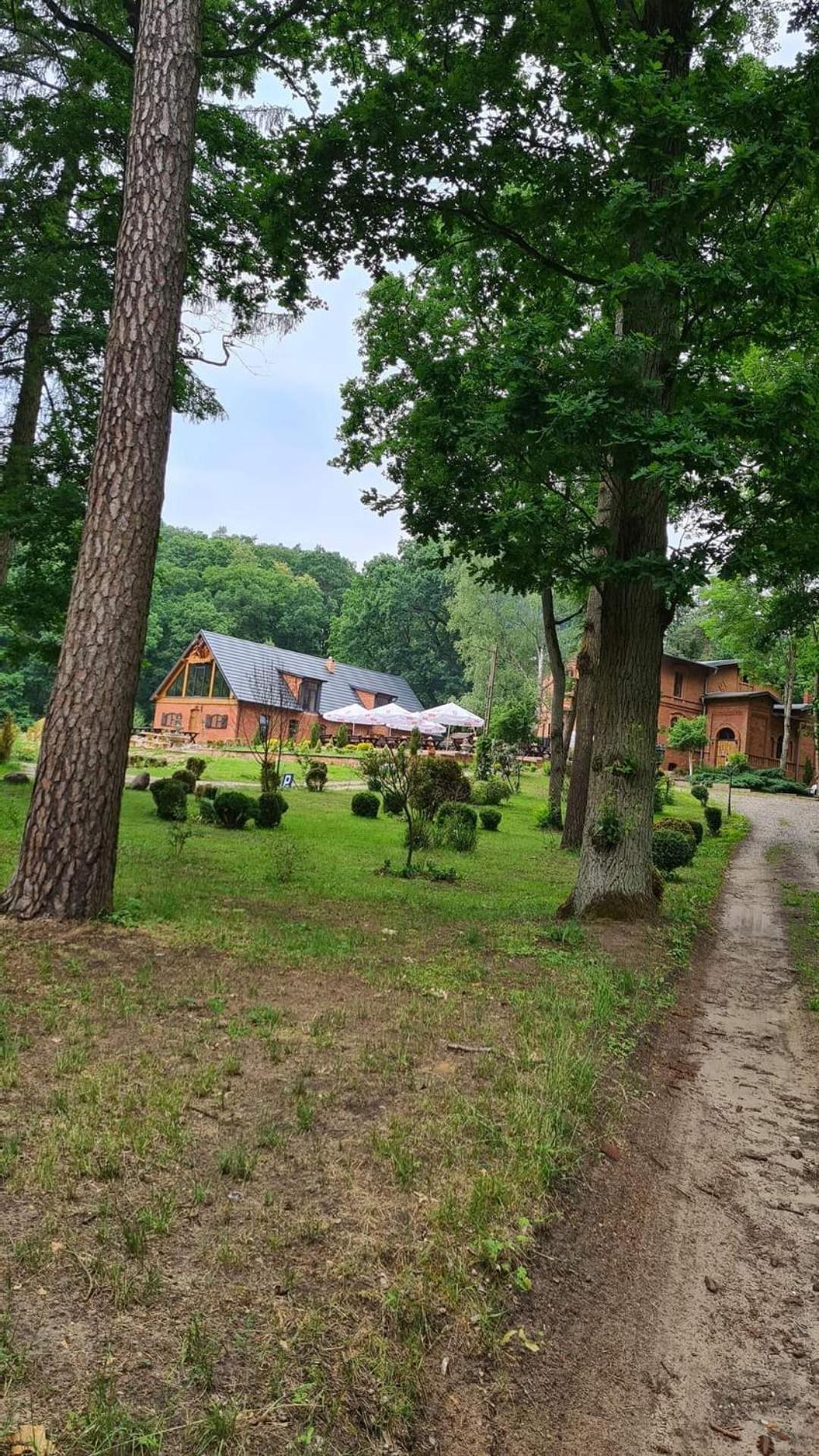 Dwor Mysinek Apartment Grabowiec  Bagian luar foto